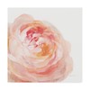 Trademark Fine Art Danhui Nai 'Garden Rose on White Crop' Canvas Art, 14x14 WAP03809-C1414GG